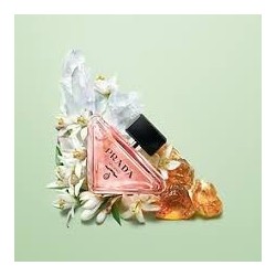 Parfum paradoxe prada